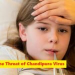 Navigating the Threat of Chandipura Virus