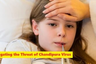 Navigating the Threat of Chandipura Virus
