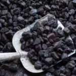 Coal India Share Price